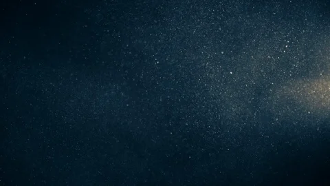 Natural Organic Dust Particles Float On Black Background. Dust In Motion. Stock Footage 123393979