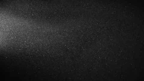 Natural Organic Dust Particles Float On Black Background. Dust In Motion. Stock Footage 123394156