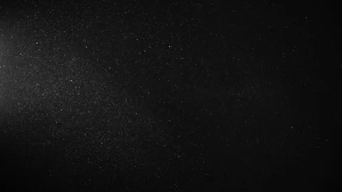 Natural Organic Dust Particles Float On Black Background. Dust In Motion. Vidéo 123394427