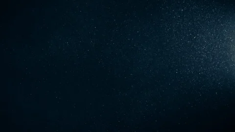 Natural Organic Dust Particles Float On Black Background. Dust In Motion. 库存影片 123394466