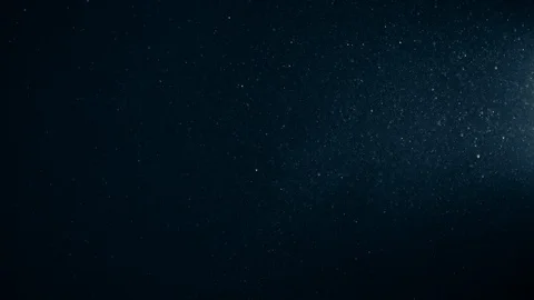 Natural Organic Dust Particles Float On Black Background. Dust In Motion. Vidéo 123394762
