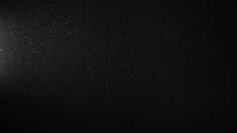 Natural Organic Dust Particles Float On Black Background. Dust In Motion. 库存影片 123394919