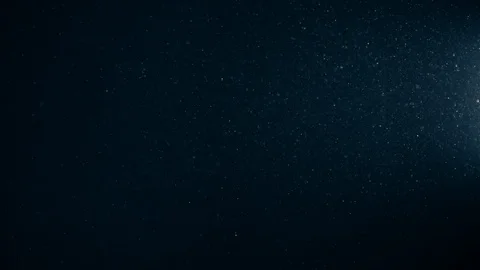 Natural Organic Dust Particles Float On Black Background. Dust In Motion. Stock Footage 123394994