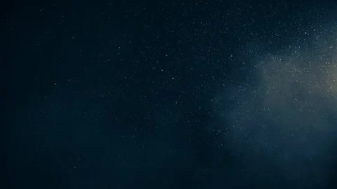 Natural Organic Dust Particles Float On Black Background. Dust In Motion. Stock Footage 123395174