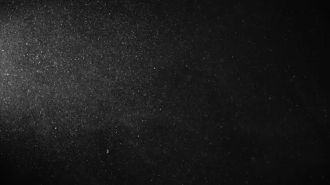 Natural Organic Dust Particles Float On Black Background. Dust In Motion. Vidéo 123395439