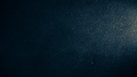 Natural Organic Dust Particles Float On Black Background. Dust In Motion. 库存影片 123395584