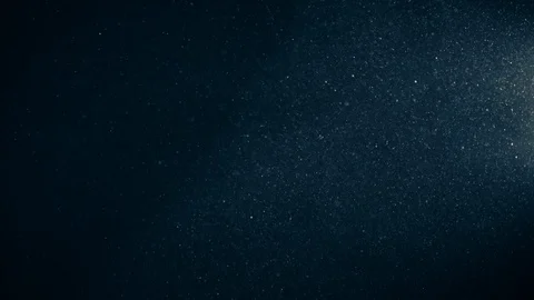 Natural Organic Dust Particles Float On Black Background. Dust In Motion. Vidéo 123395666