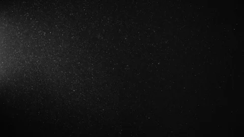 Natural Organic Dust Particles Float On Black Background. Dust In Motion. Vidéo 123395857