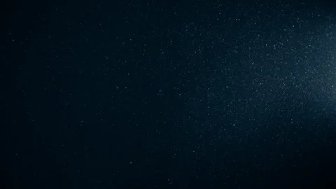 Natural Organic Dust Particles Float On Black Background. Dust In Motion. Vidéo 123396080