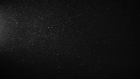 Natural Organic Dust Particles Float On Black Background. Dust In Motion. Vidéo 123396148