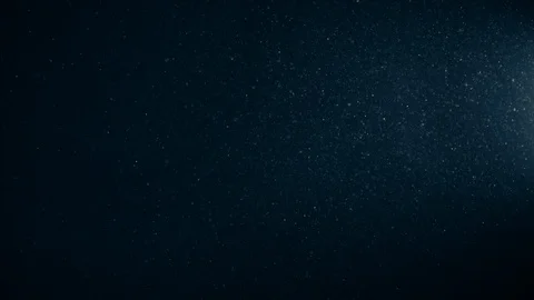 Natural Organic Dust Particles Float On Black Background. Dust In Motion. 库存影片 123396243