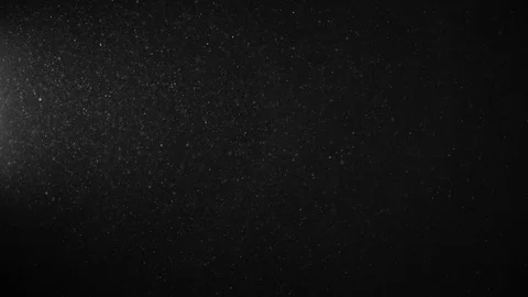 Natural Organic Dust Particles Float On Black Background. Dust In Motion. 库存影片 123396306