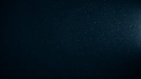 Natural Organic Dust Particles Float On Black Background. Dust In Motion. Stock Footage 123396439