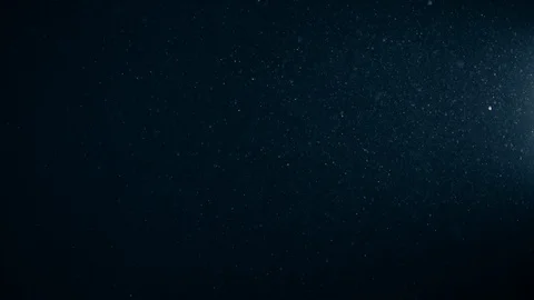 Natural Organic Dust Particles Float On Black Background. Dust In Motion. Stock Footage 123396563