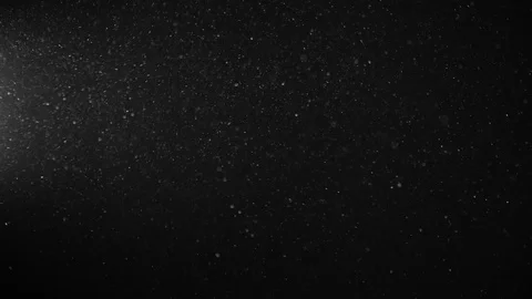Natural Organic Dust Particles Float On Black Background. Dust In Motion. Stock Footage 123396593