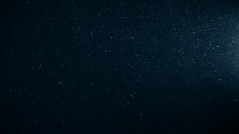 Natural Organic Dust Particles Float On Black Background. Dust In Motion. 库存影片 123396616