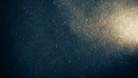 Natural Organic Dust Particles Float On Black Background. Dust In Motion. Vidéo 123446247