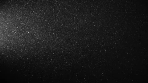 Natural Organic Dust Particles Float On Black Background. Dust In Motion. 库存影片 123446255