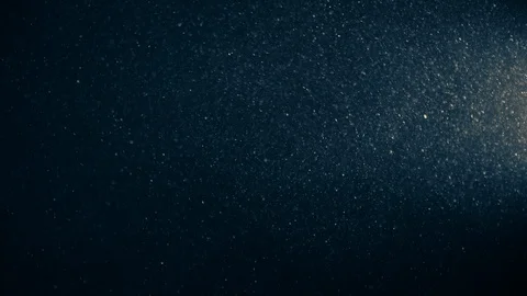 Natural Organic Dust Particles Float On Black Background. Dust In Motion. 库存影片 123446322