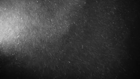 Natural Organic Dust Particles Float On Black Background. Dust In Motion. Vidéo 123446334