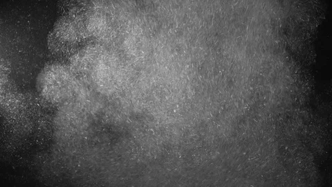 Natural Organic Dust Particles Float On Black Background. Dust In Motion. Stock Footage 123446563