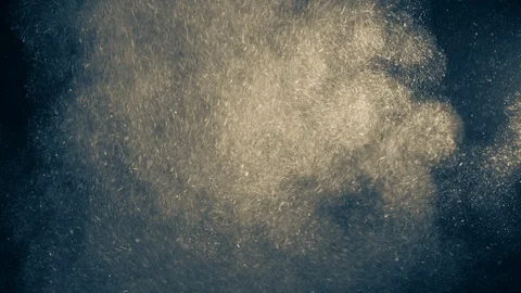 Natural Organic Dust Particles Float On Black Background. Dust In Motion. 库存影片 123446632