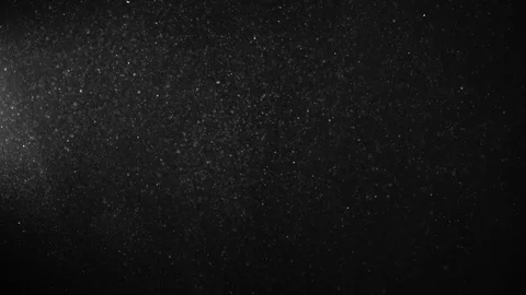 Natural Organic Dust Particles Float On Black Background. Dust In Motion. Stock-Footage 123446668