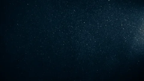 Natural Organic Dust Particles Float On Black Background. Dust In Motion. 库存影片 123446681