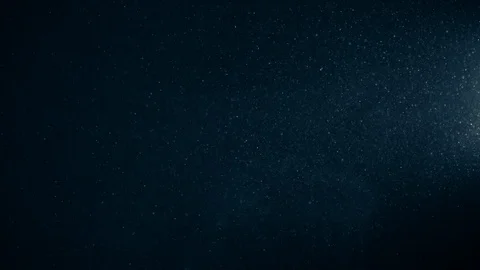 Natural Organic Dust Particles Float On Black Background. Dust In Motion. Vidéo 123447096