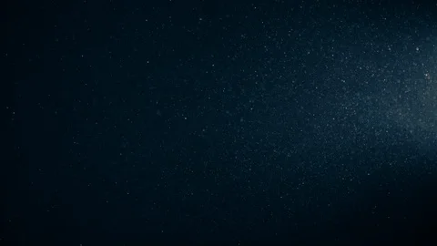 Natural Organic Dust Particles Float On Black Background. Dust In Motion. 库存影片 123447300