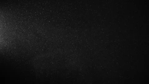 Natural Organic Dust Particles Float On Black Background. Dust In Motion. 库存影片 123447308