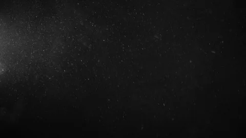 Natural Organic Dust Particles Float On Black Background. Dust In Motion. Stock Footage 123447349