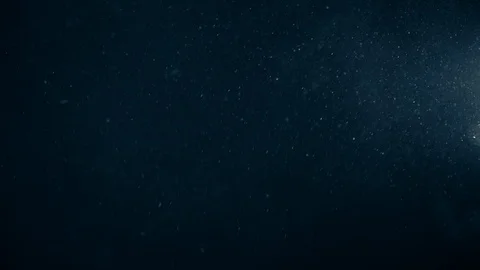 Natural Organic Dust Particles Float On Black Background. Dust In Motion. Stock Footage 123447521