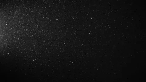 Natural Organic Dust Particles Float On Black Background. Dust In Motion. Vidéo 123447654
