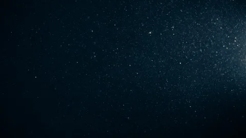 Natural Organic Dust Particles Float On Black Background. Dust In Motion. Stock Footage 123447836