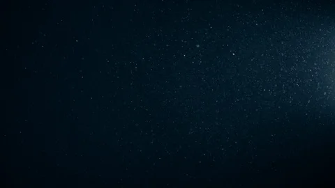 Natural Organic Dust Particles Float On Black Background. Dust In Motion. 库存影片 123447914