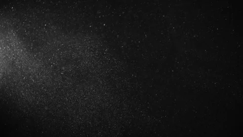 Natural Organic Dust Particles Float On Black Background. Dust In Motion. Vidéo 123448152