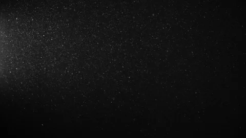 Natural Organic Dust Particles Float On Black Background. Dust In Motion. Stock Footage 123448389