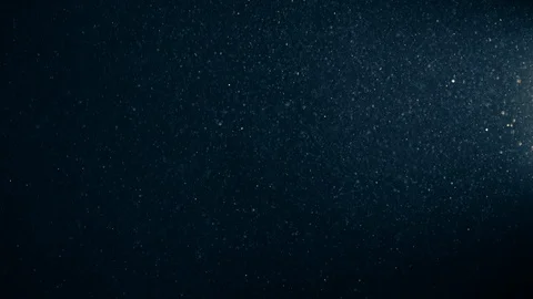 Natural Organic Dust Particles Float On Black Background. Dust In Motion. Stock Footage 123448404