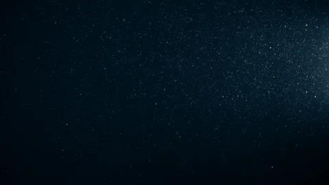 Natural Organic Dust Particles Float On Black Background. Dust In Motion. 库存影片 123448543