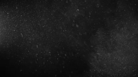 Natural Organic Dust Particles Float On Black Background. Dust In Motion. Vidéo 123448606