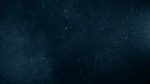 Natural Organic Dust Particles Float On Black Background. Dust In Motion. Stock Footage 123448685