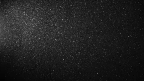 Natural Organic Dust Particles Float On Black Background. Dust In Motion. Stock-Footage 123448922