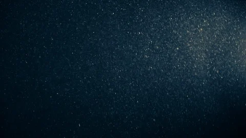Natural Organic Dust Particles Float On Black Background. Dust In Motion. Stock-Footage 123448956