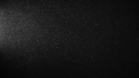 Natural Organic Dust Particles Float On Black Background. Dust In Motion. Vidéo 123449129