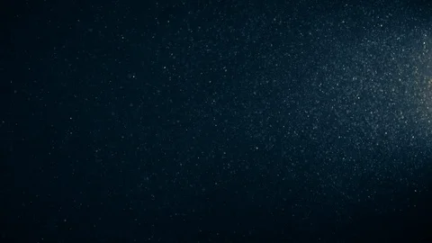 Natural Organic Dust Particles Float On Black Background. Dust In Motion. Vidéo 123449279
