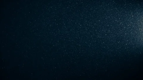 Natural Organic Dust Particles Float On Black Background. Dust In Motion. Stock-Footage 123449465