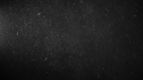 Natural Organic Dust Particles Float On Black Background. Dust In Motion. Stock Footage 123449955