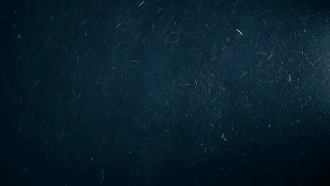 Natural Organic Dust Particles Float On Black Background. Dust In Motion. Stock-Footage 123449979