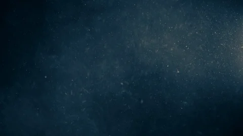 Natural Organic Dust Particles Float On Black Background. Dust In Motion. Stock Footage 123450035